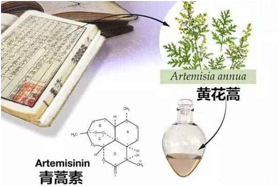 万象城官方网站：向中医药看齐，与世界共享中医药文化(图1)